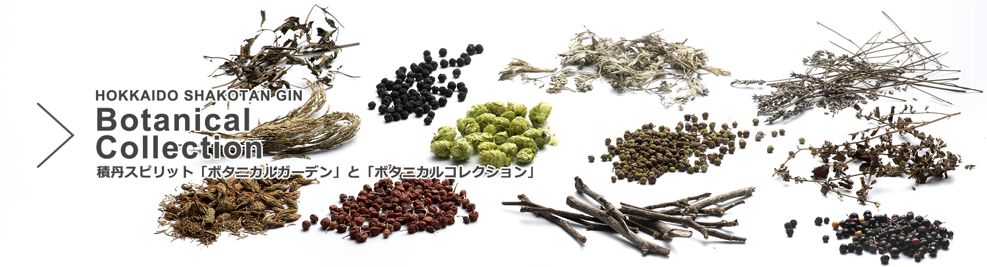 �ܥ��˥��륳�쥯�����