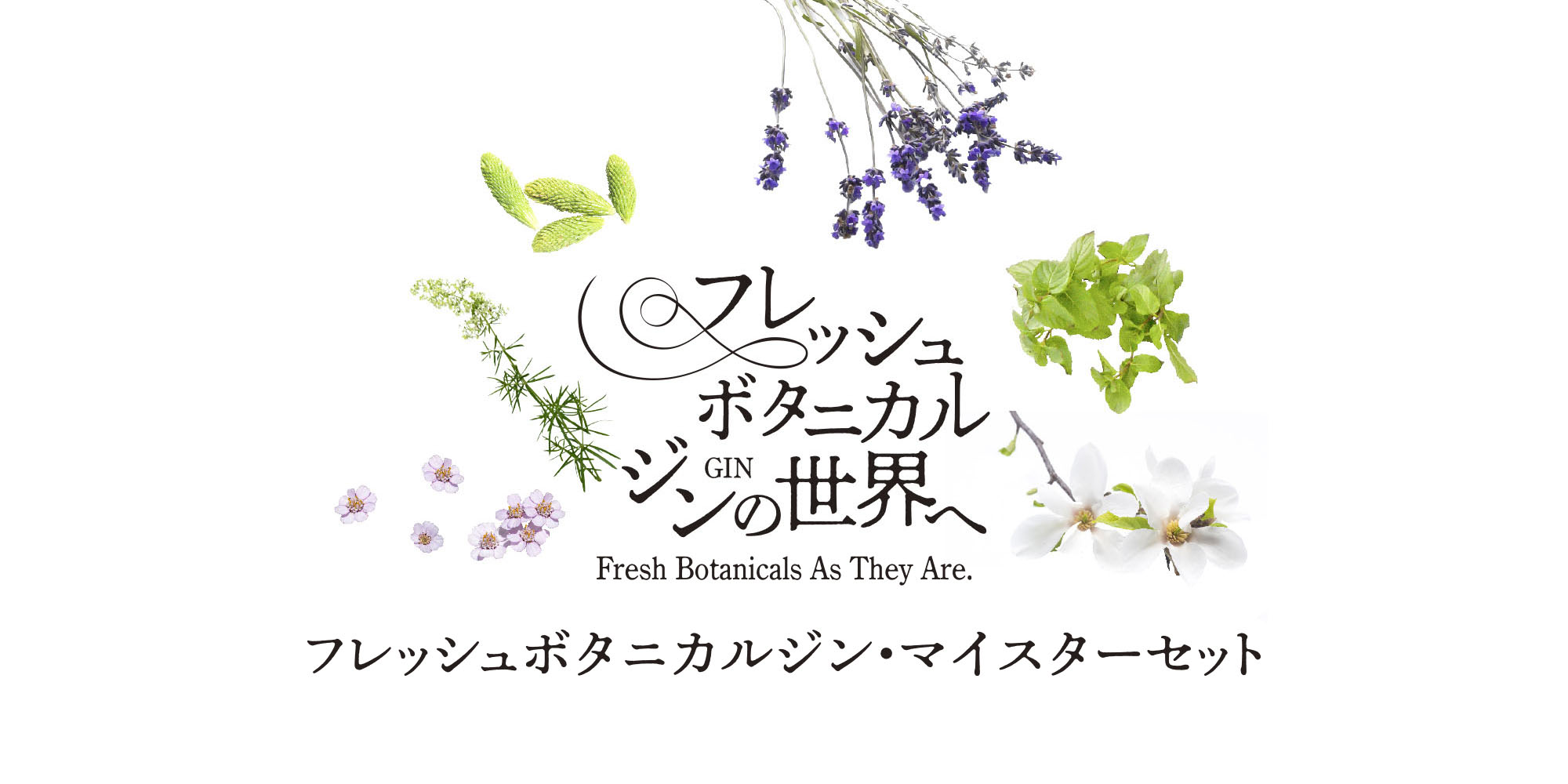 �ե�å���ܥ��˥��른�󡦥ޥ����������å�