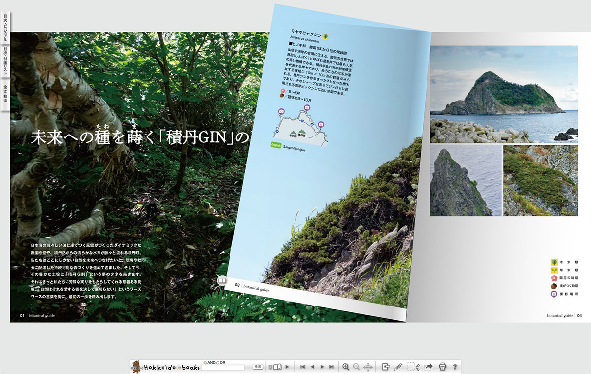 ����ðGIN�Τ���Υܥ��˥��륬���ɡ��Żҥ֥å�