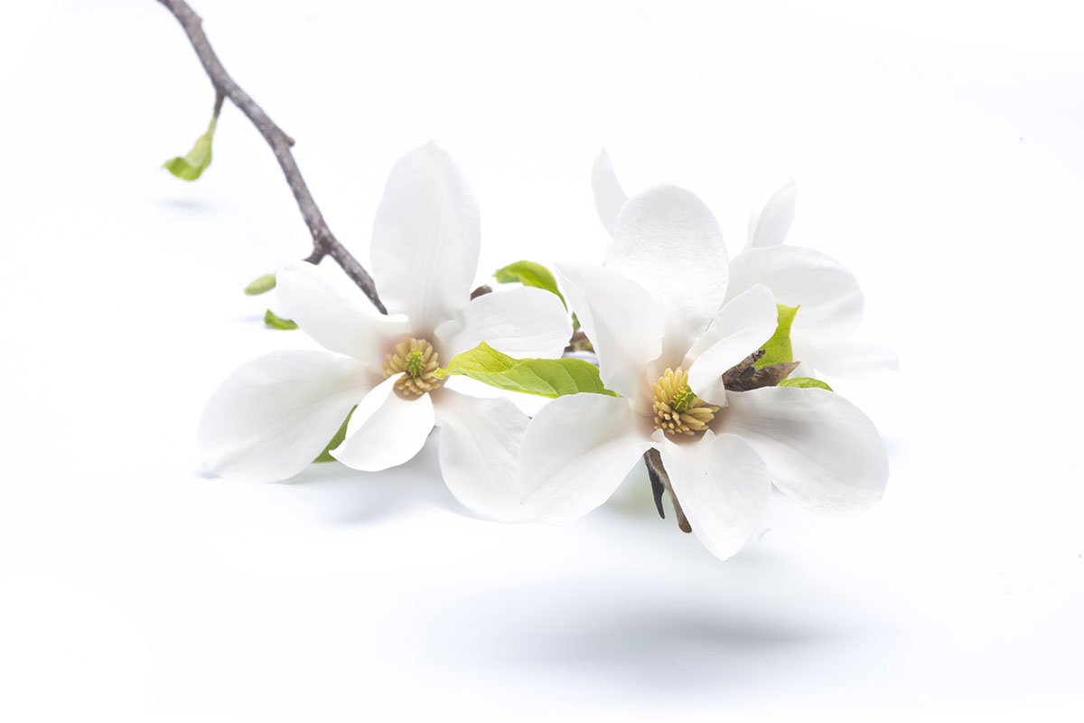 �������֥�