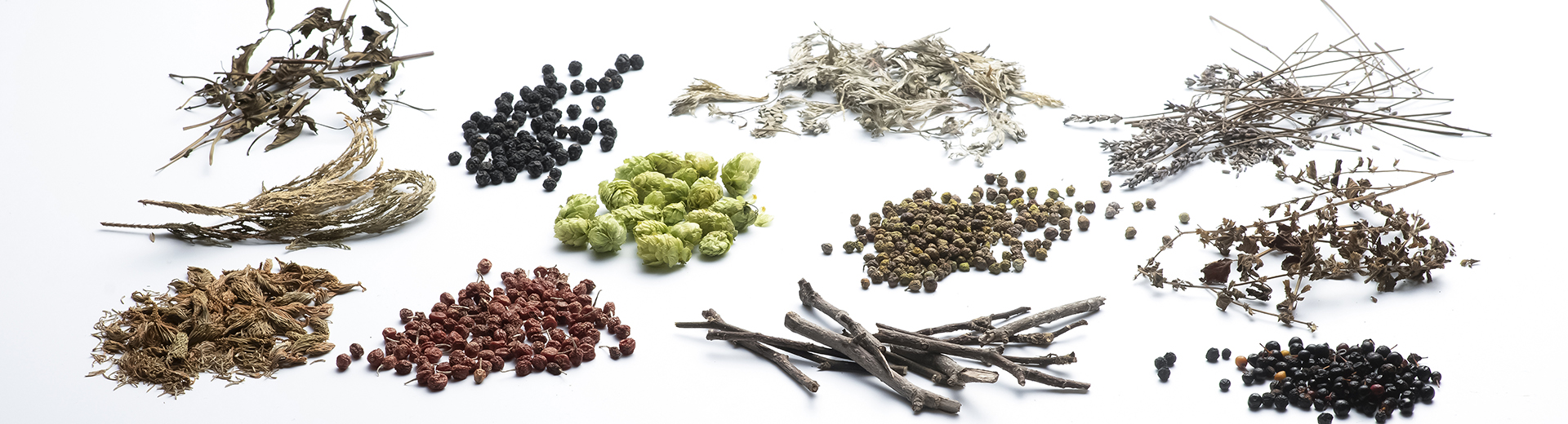 �ܥ��˥��롦���쥯�����