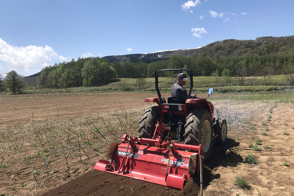 p-botanical_garden-1