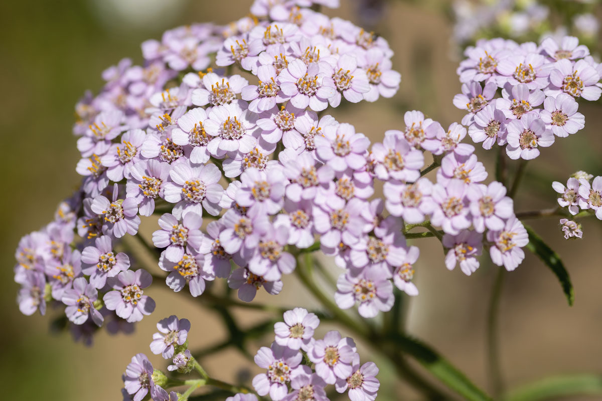 ����󡼥����