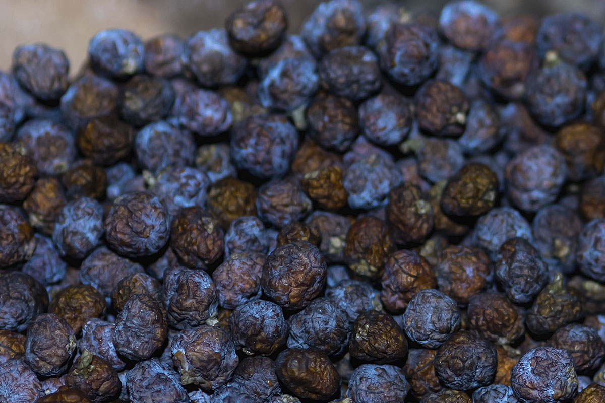 �ߥ�ޥӥ㥯����