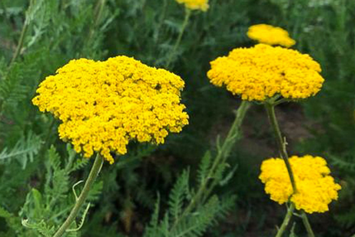 �������������